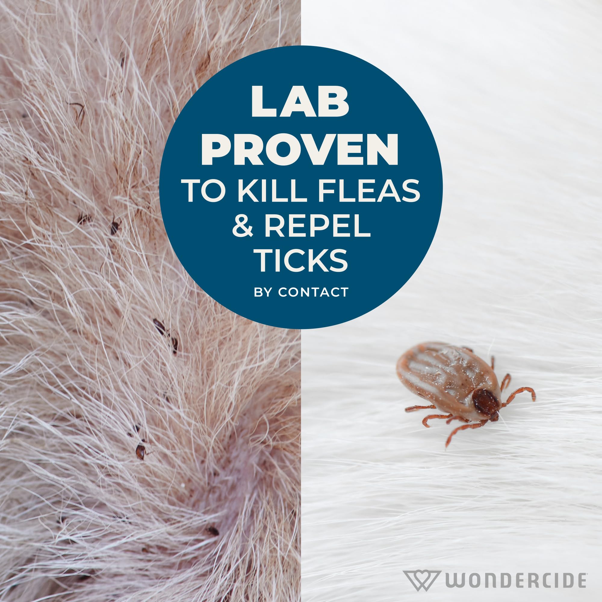 Wondercide shampoo in use bathing a dog, showing gentle pest control