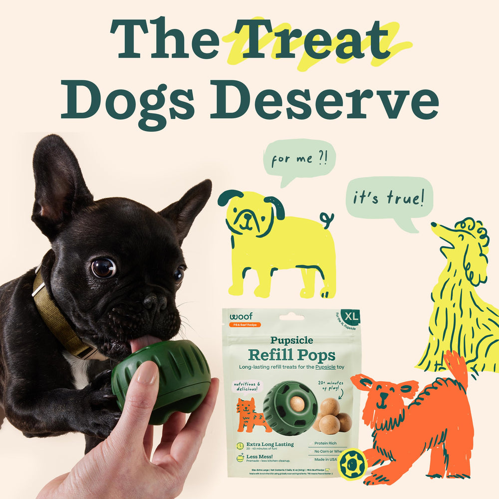 WOOF dog licking a Pupsicle refill pop in the toy illustrating quiet enrichment
