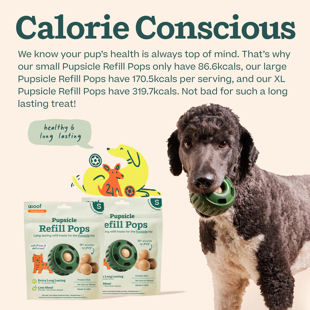 WOOF bowl with core ingredients laid out to show simple recognizable components