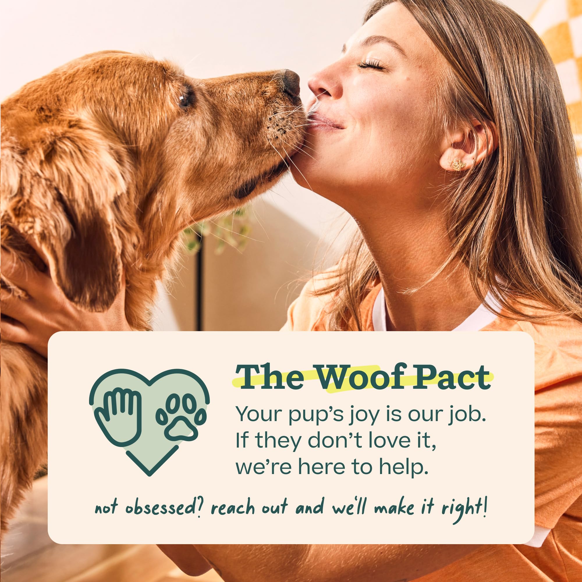 WOOF Walkabout packaging and included tools showing what ships with toy