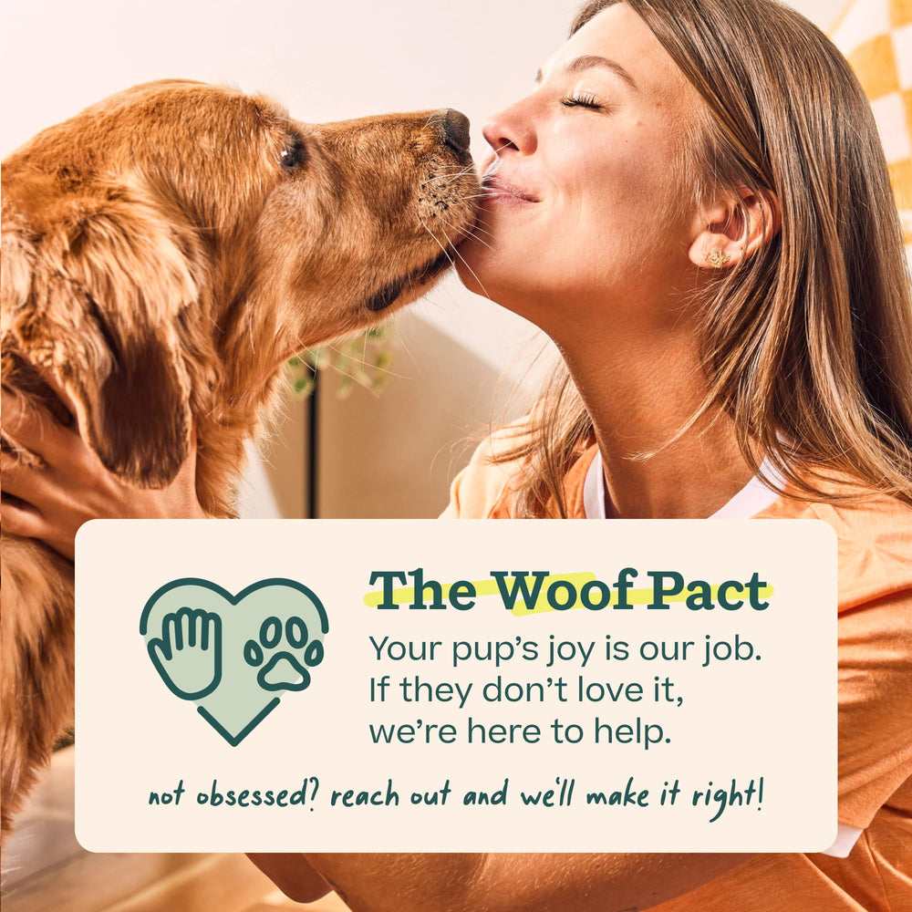 WOOF Walkabout packaging and included tools showing what ships with toy