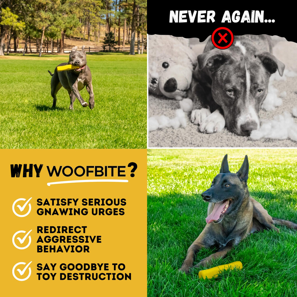 Smooth edge detail of WoofBite stick reducing gum irritation risk