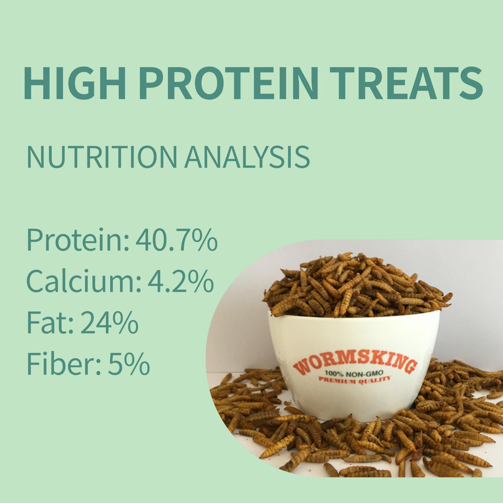 WORMSKING close-up of dried larvae texture showing grainy protein-rich pieces benefit: nutrient density