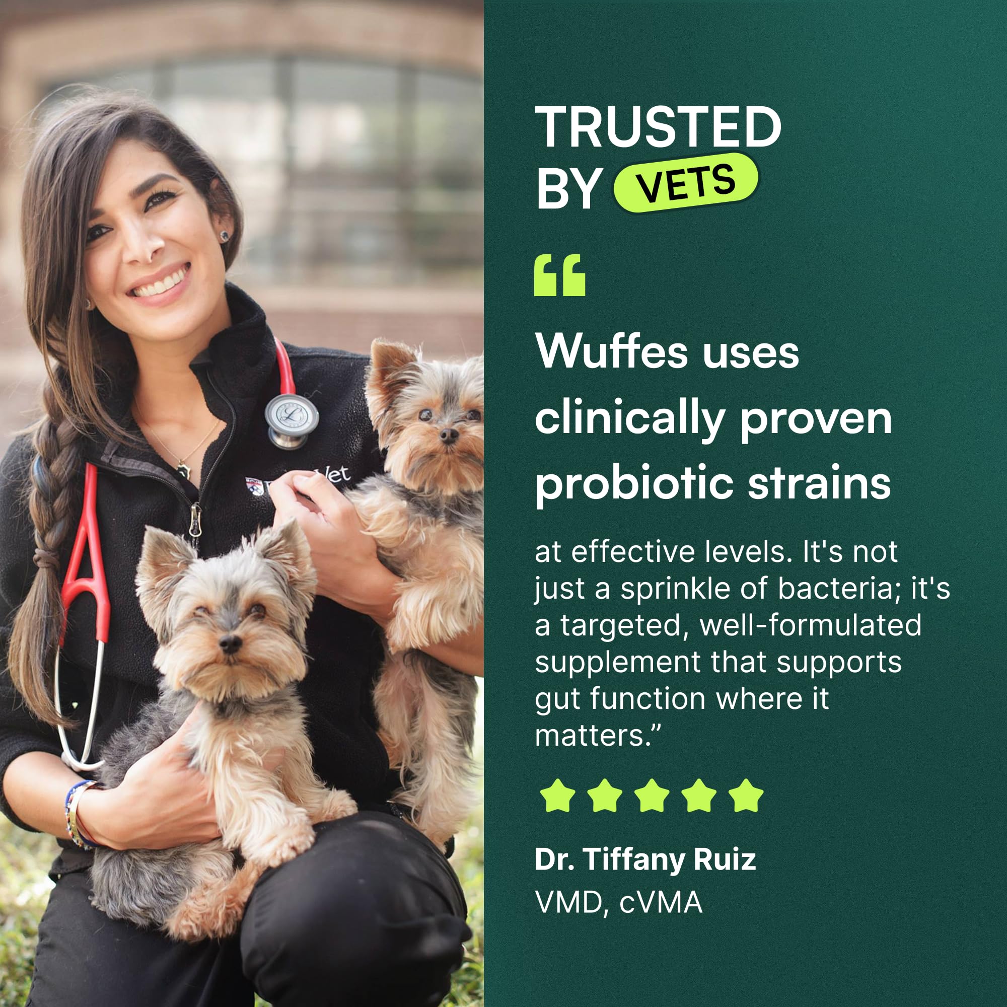 Wuffes pumpkin powder ingredient in bowl showing natural fiber support
