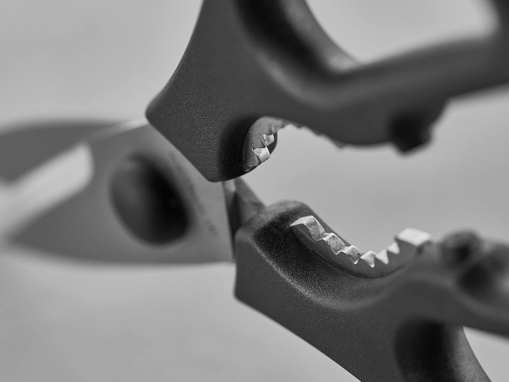 Wüsthof shears separated into two pieces for easy cleaning benefit