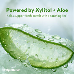 Xyloburst pour detail demonstrating clear rinse and easy dispensing