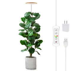 yadoker front view bamboo floor lamp shows elegant design and stable lighting