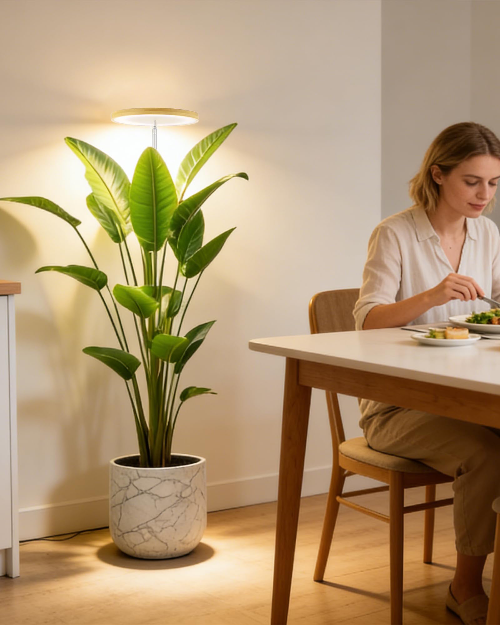 yadoker size comparison next to sofa shows compact footprint and practical scale