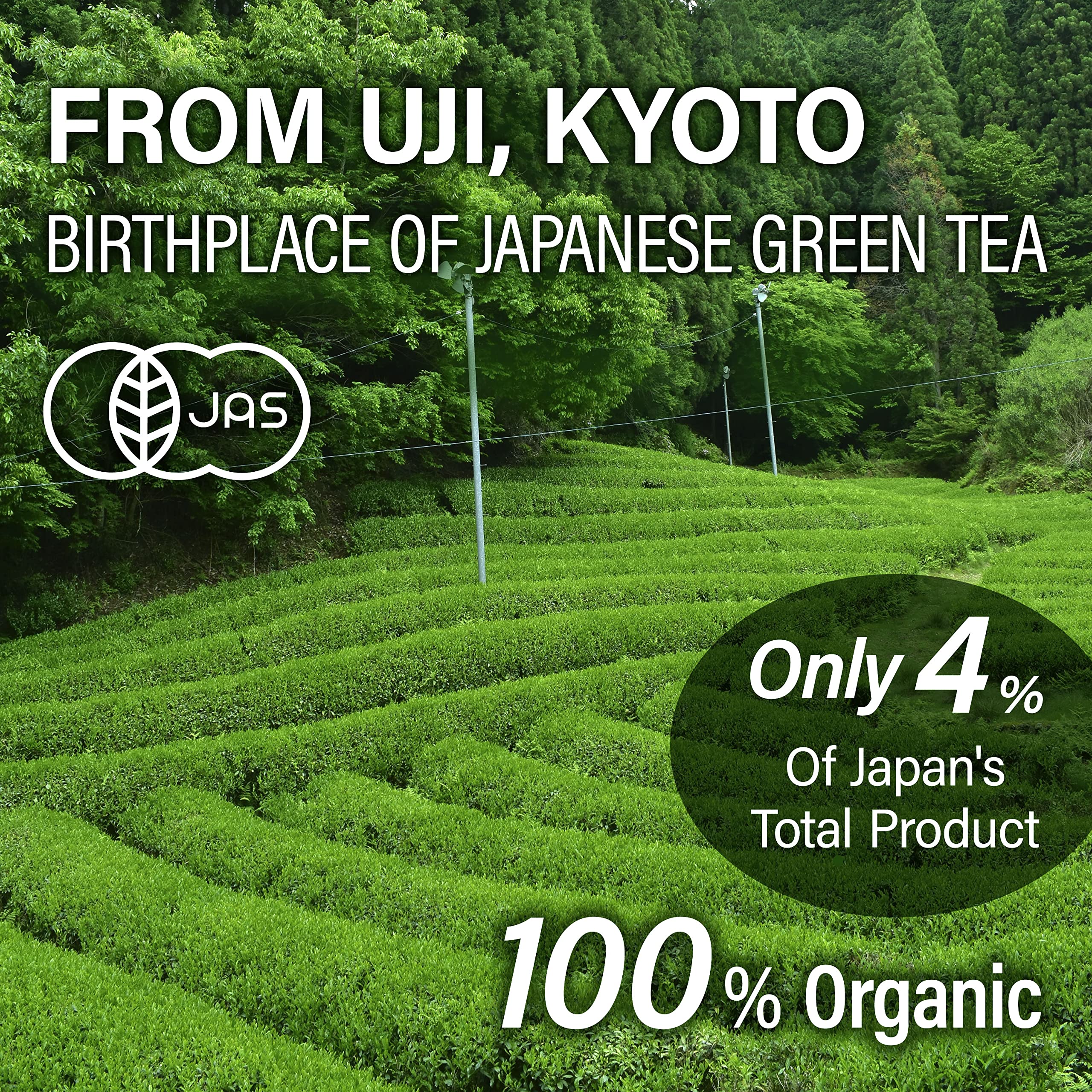 YAMASAN KYOTO UJI spoon scale comparison demonstrating portion size and yield