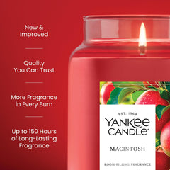 Yankee Candle Macintosh wax texture close-up showing clean burn benefit