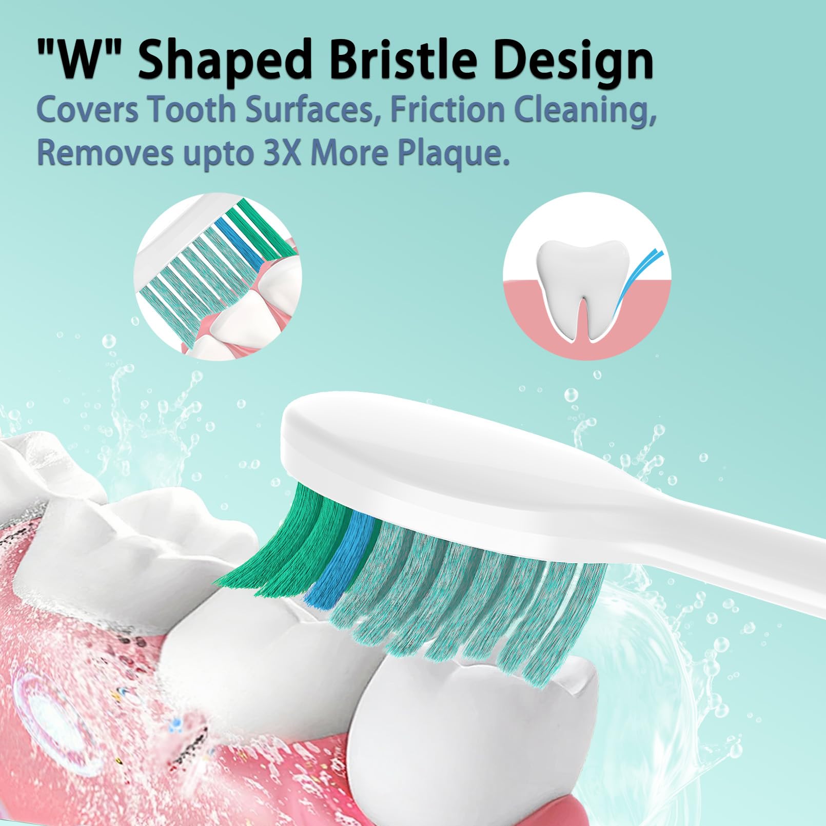 YMPBO bristle tip detail with rounded bristles protecting gums