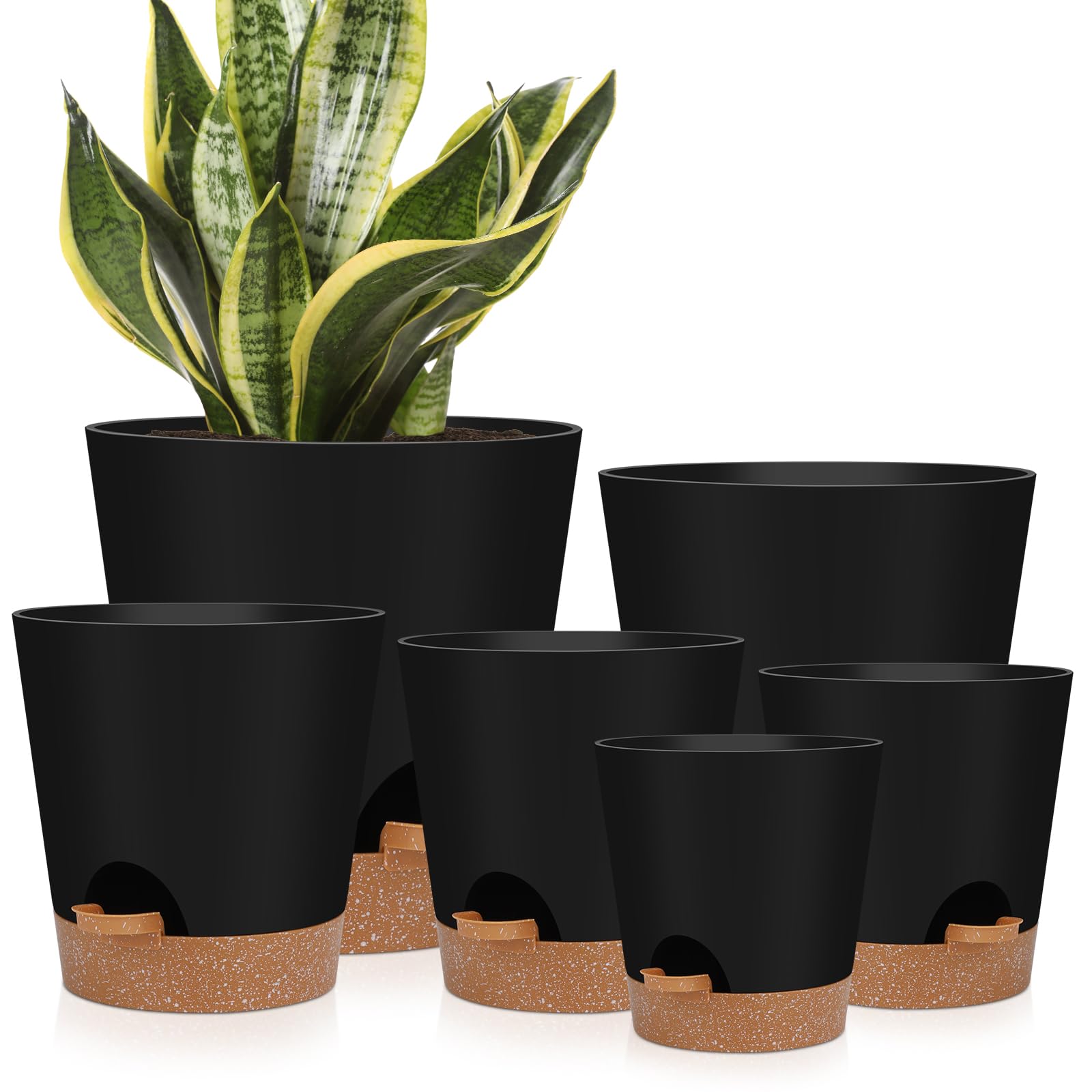 YNNICO front view showing six black pots and coordinated look benefit
