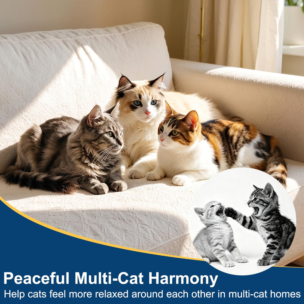 YooBaaLee diffuser positioned near cat bed reducing hiding and stress