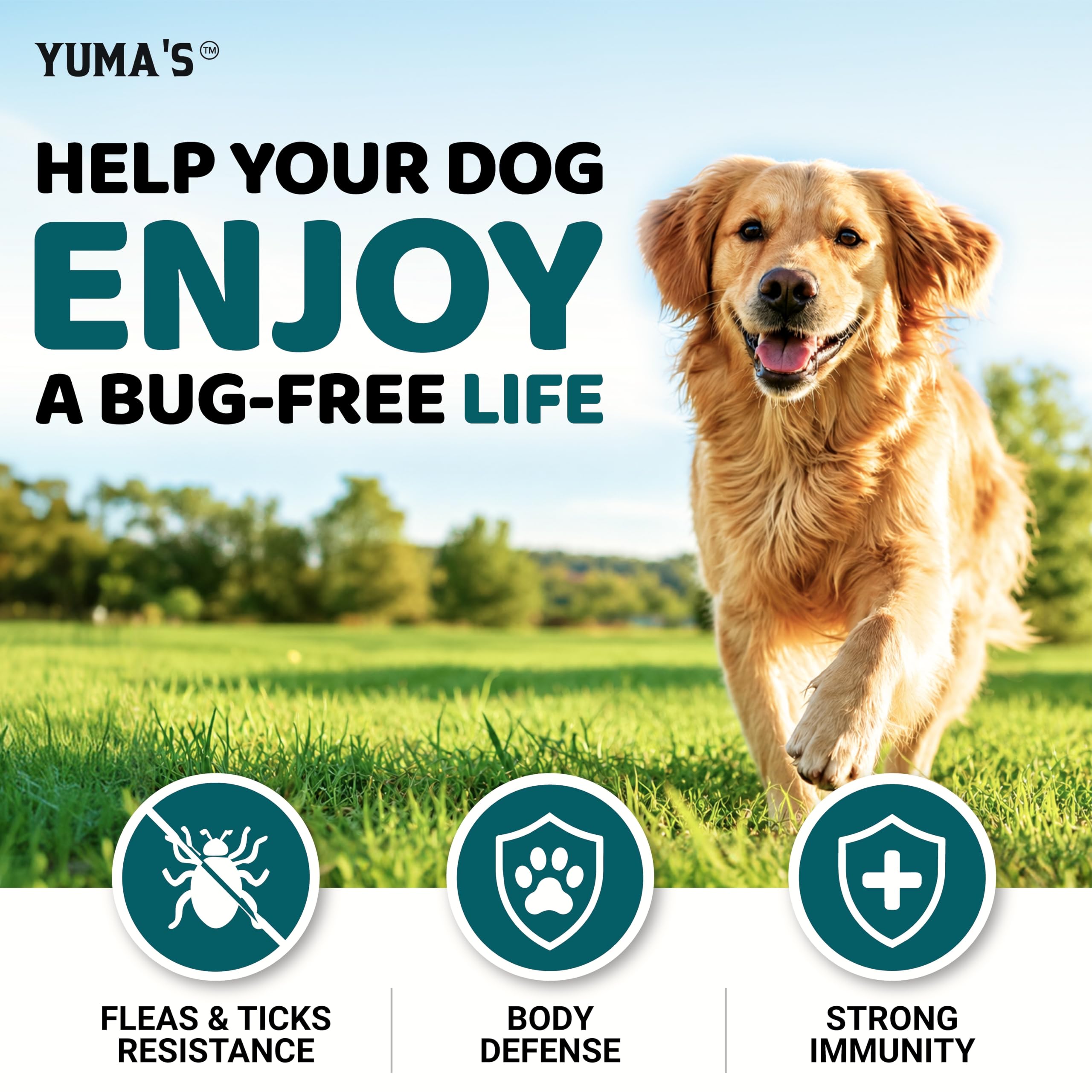 YUMA'S chews beside ruler to show size and portion guidance