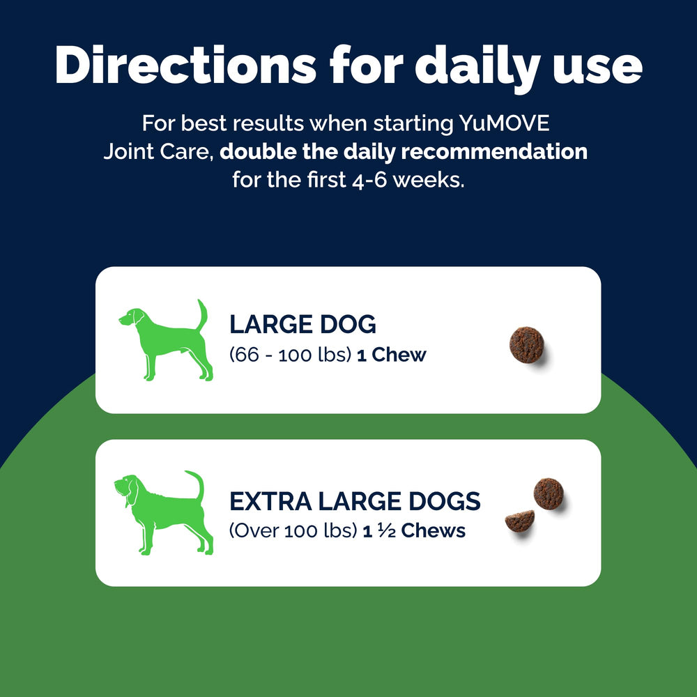 YuMOVE lifestyle image of large dog on walk showing improved mobility