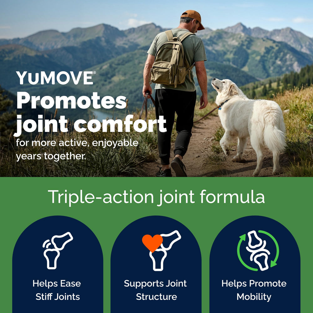 YuMOVE soft chew close-up texture showing chewability and palatability
