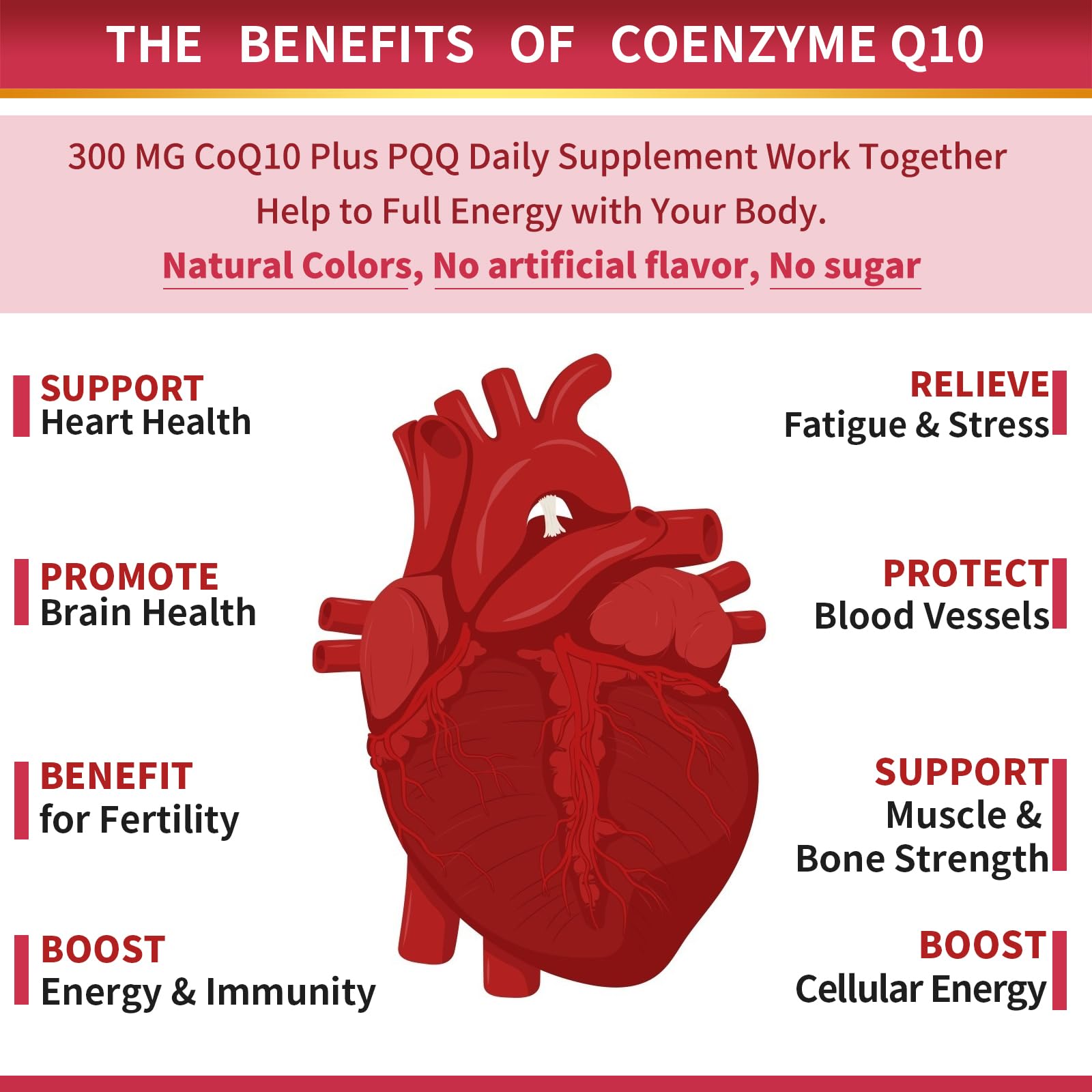 ZEBORA ingredient label showing CoQ10, PQQ, omega-3s and absorption aids for transparency