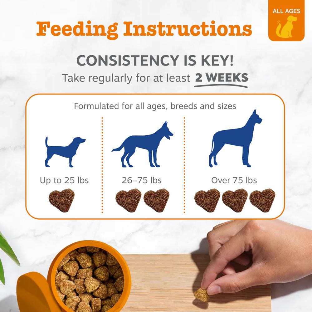 Zesty Paws chew on plate demonstrating size and portioning
