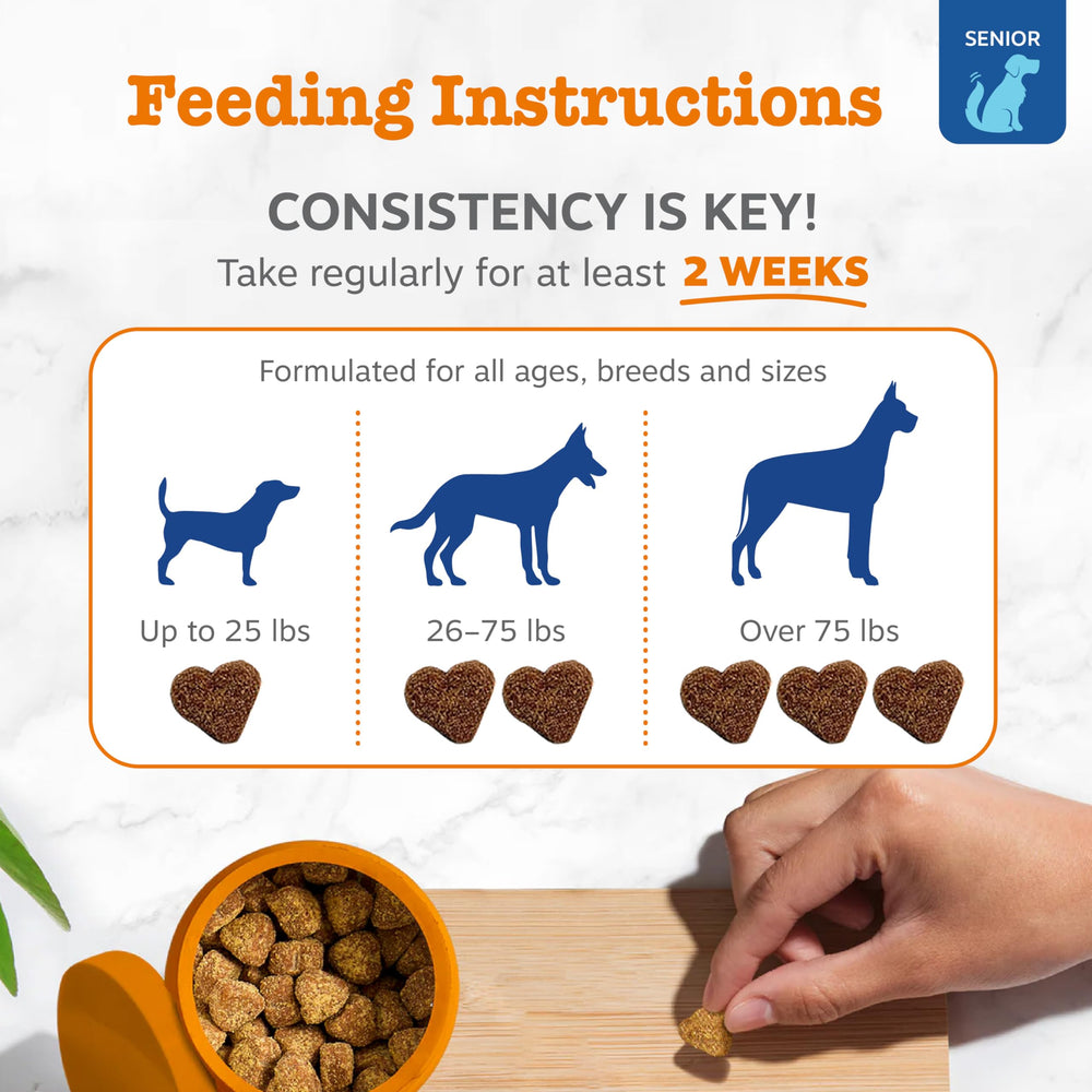 Zesty Paws chew held in hand for size and portion guidance