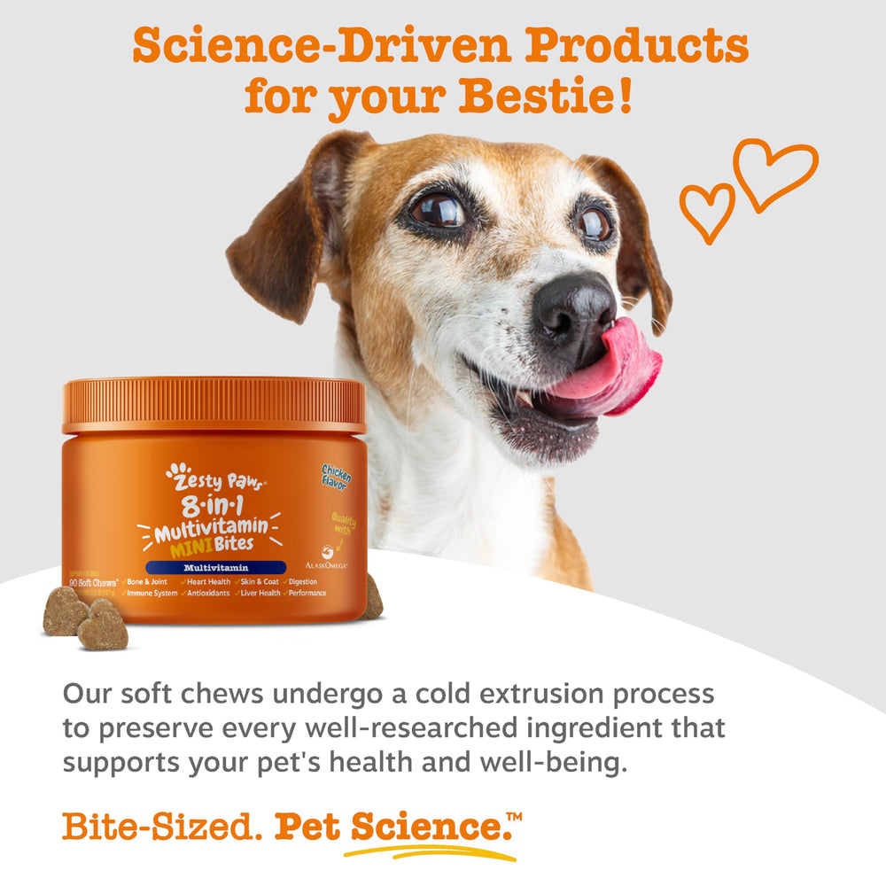 Dog accepting Zesty Paws bite illustrating tasty chicken flavor increases acceptance