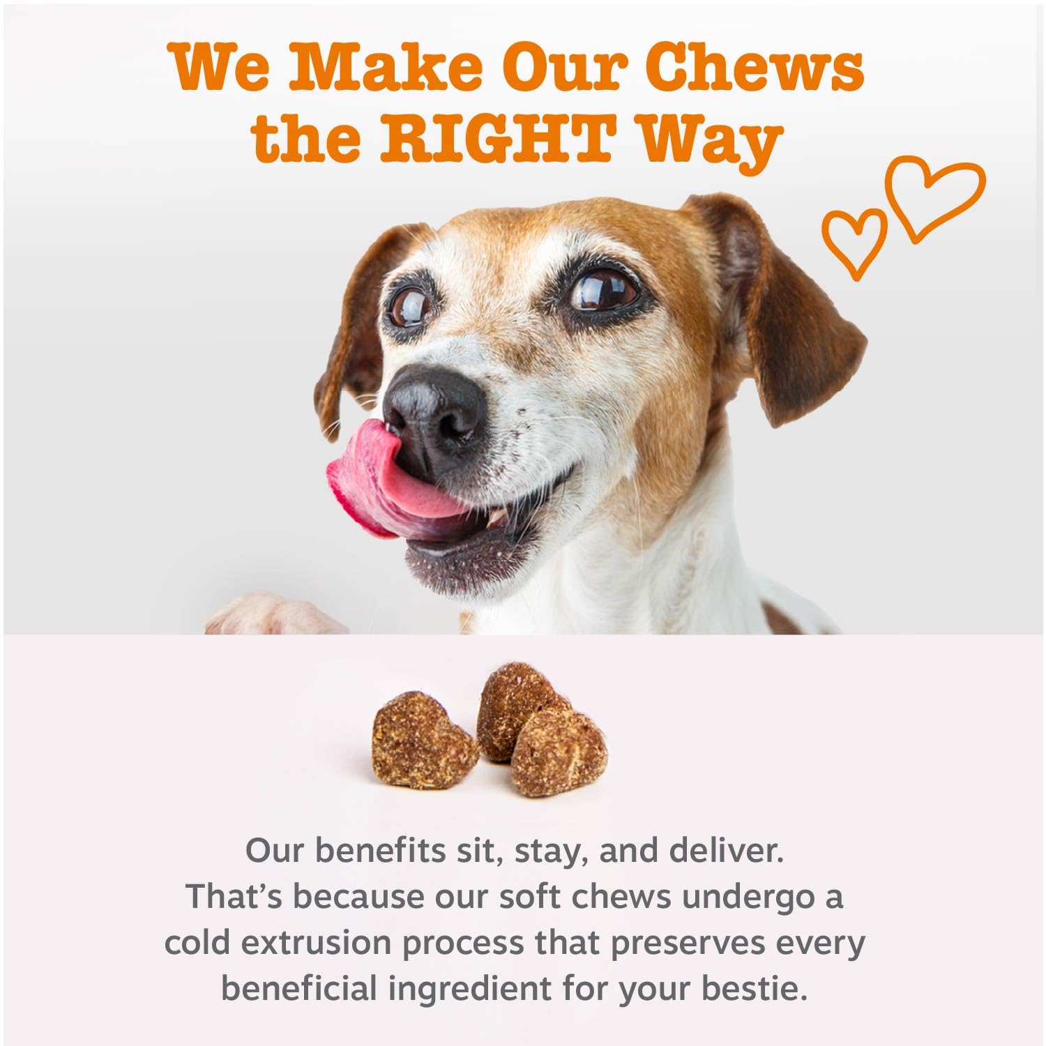 Zesty Paws dog enjoying a chew illustrating easy acceptance