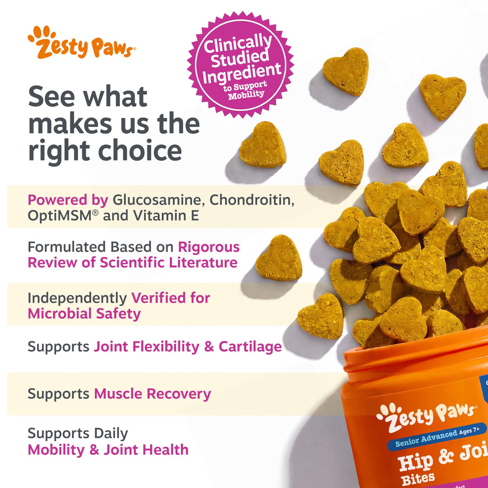 Zesty Paws dog eating a chew demonstrating acceptance and ease of dosing