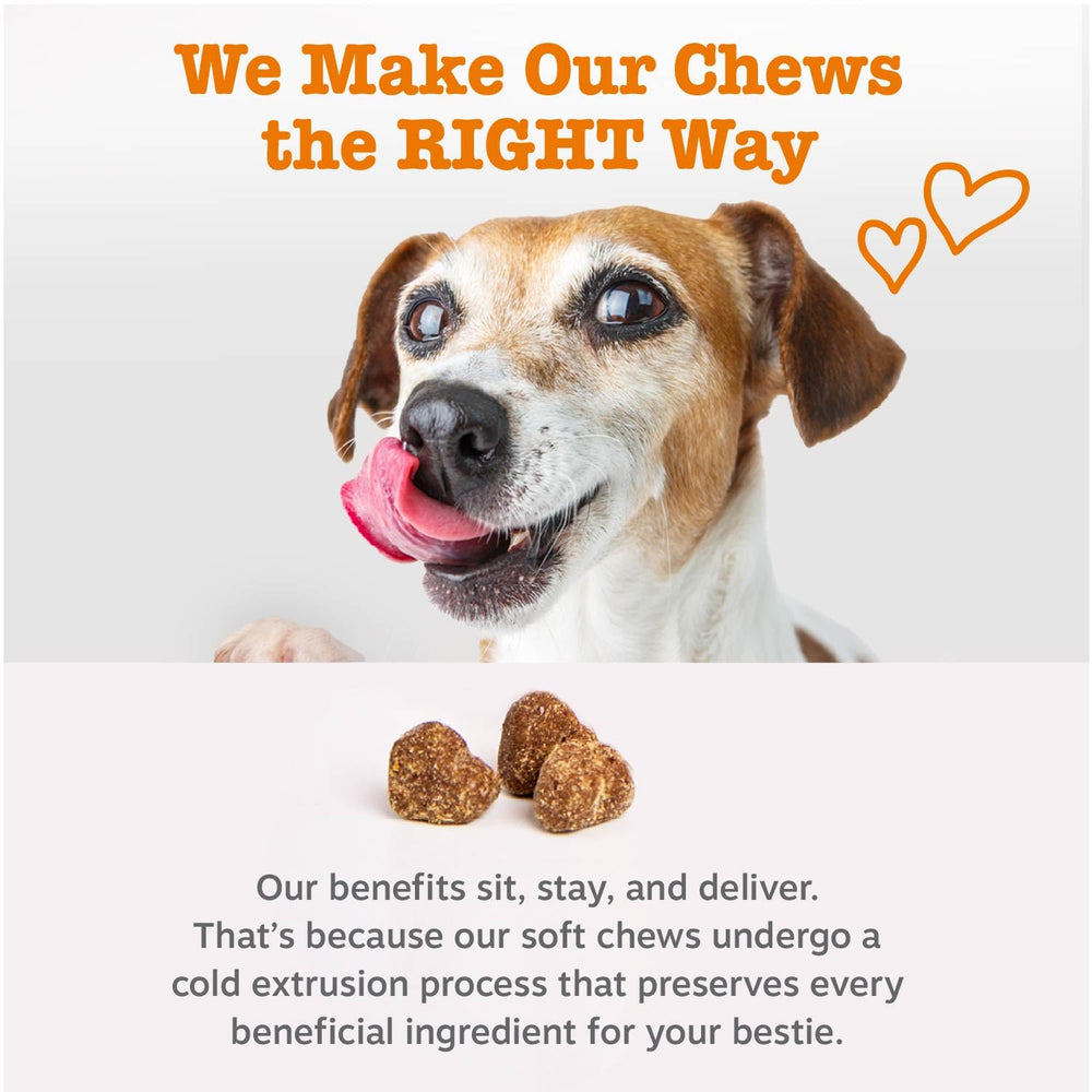 Zesty Paws dog enjoying a chew demonstrating palatability and ease