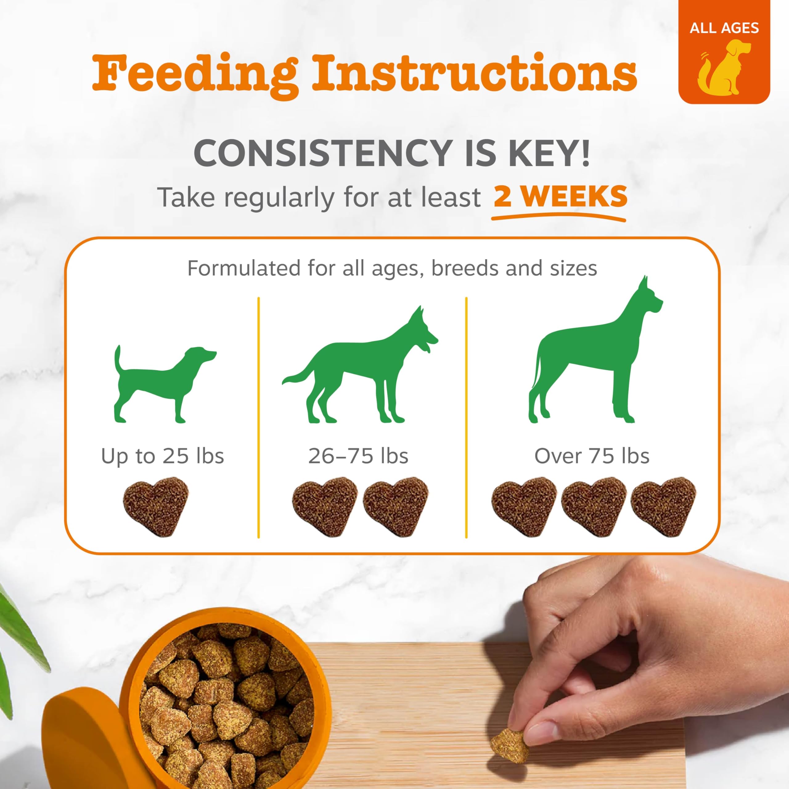 Zesty Paws ingredient label closeup highlighting probiotics and enzymes