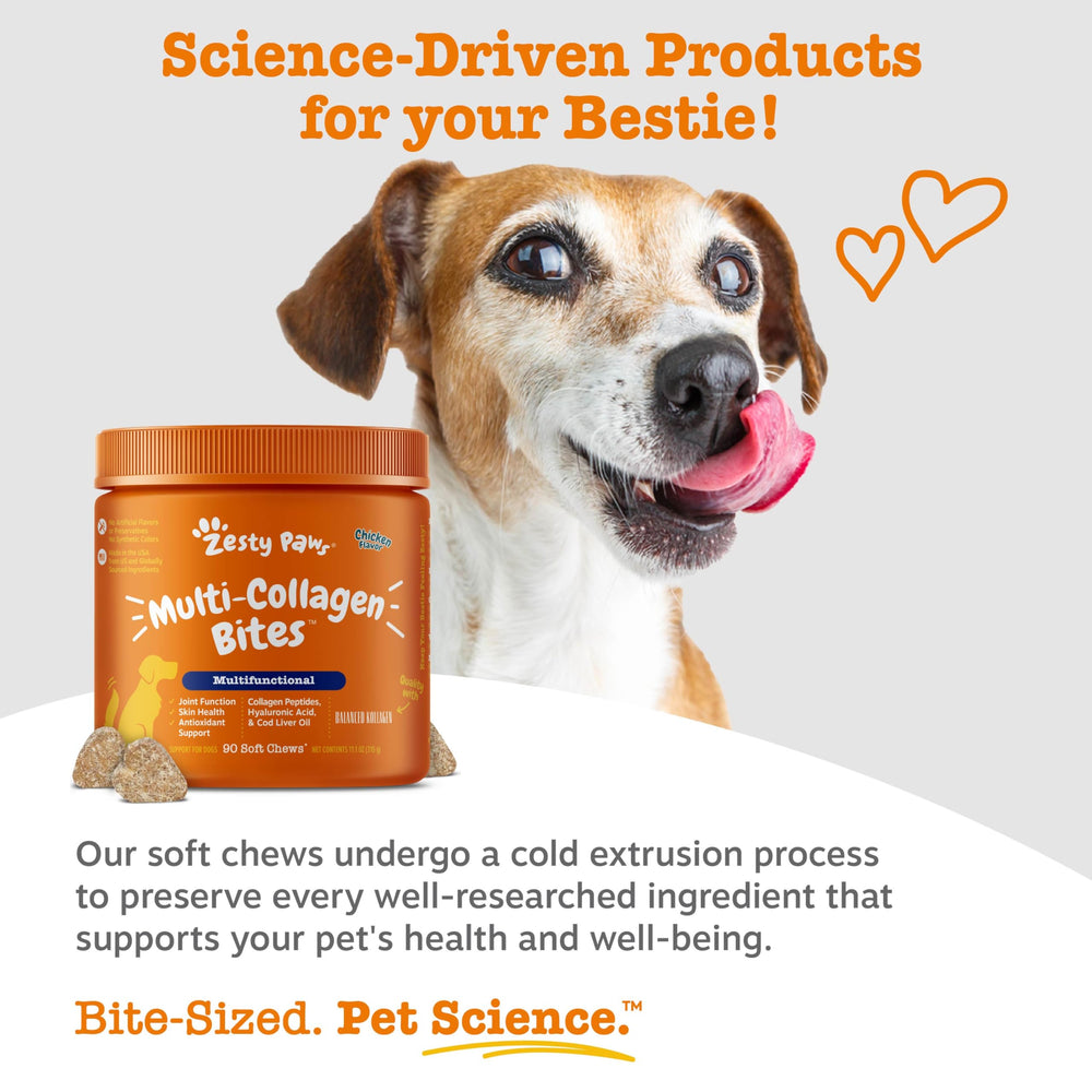 Zesty Paws chews in a happy dog outdoor scene promoting active mobility