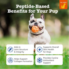 Zesty Paws open bottle with chews visible for supply clarity