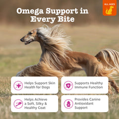 Zesty Paws close-up of bacon-flavored chews highlighting palatable texture and omega support