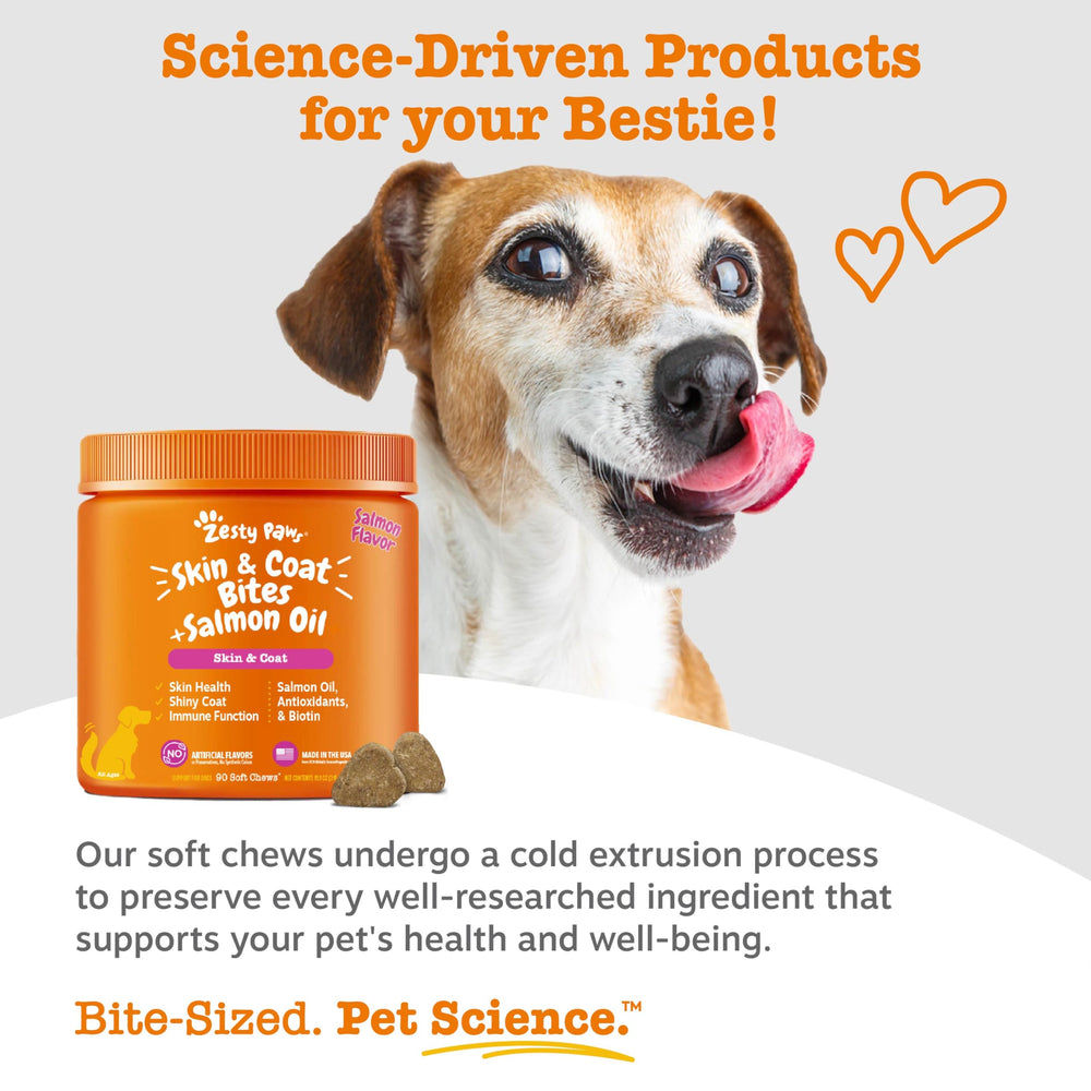 Dog happily taking a Zesty Paws chew, demonstrating palatable support