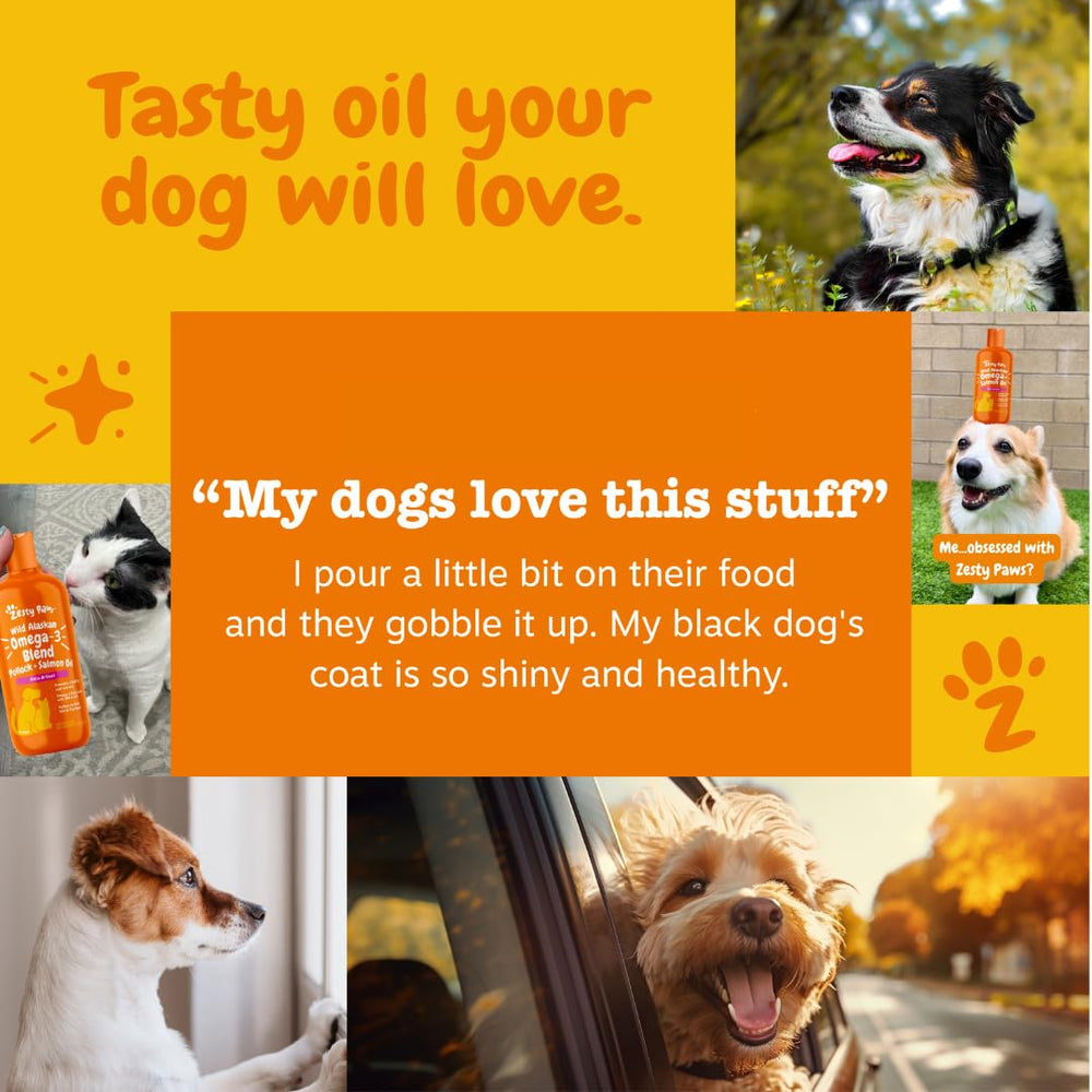 Zesty Paws before-and-after glossy coat photo demonstrating improved fur appearance