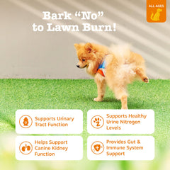 Zesty Paws open jar with chicken-flavored chews, easy daily dosing for dogs