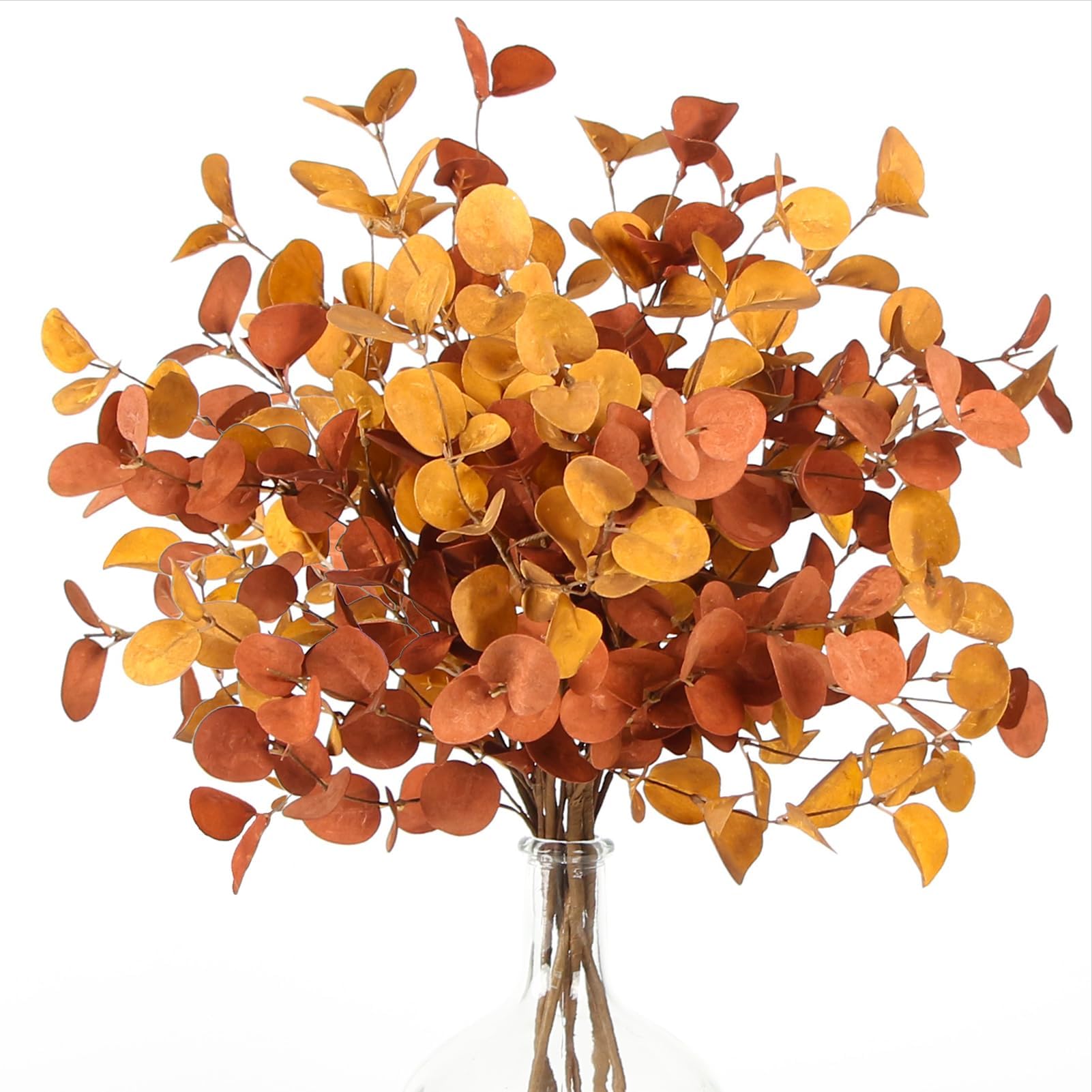 ZIFTY front view of six bundled eucalyptus stems showing warm fall colors and styling benefit