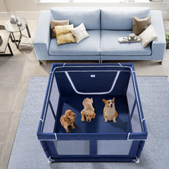 Zikopomi puppy inside playpen showing comfortable supervised space