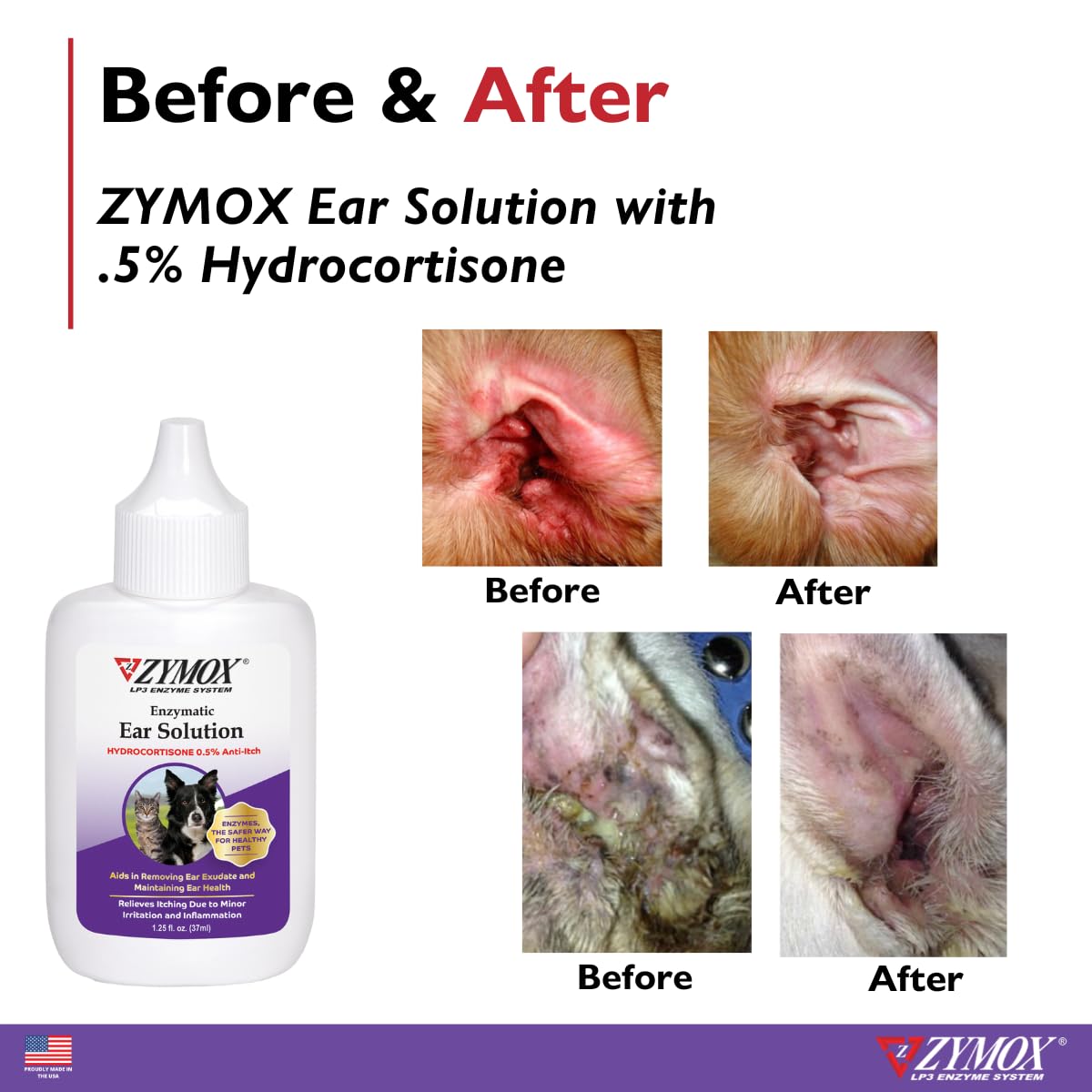 Zymox being applied to a dog’s ear showing easy, stress-reduced treatment