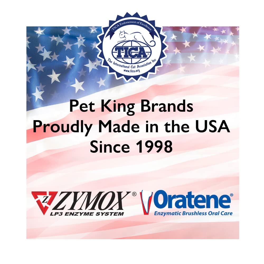 Pet parent applying Zymox to a cat’s ear illustrating calm home ear care